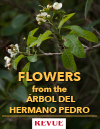 Flowers from Hermano Pedro Tree Arbol REVUE article FLAAR Nicholas Hellmuth
