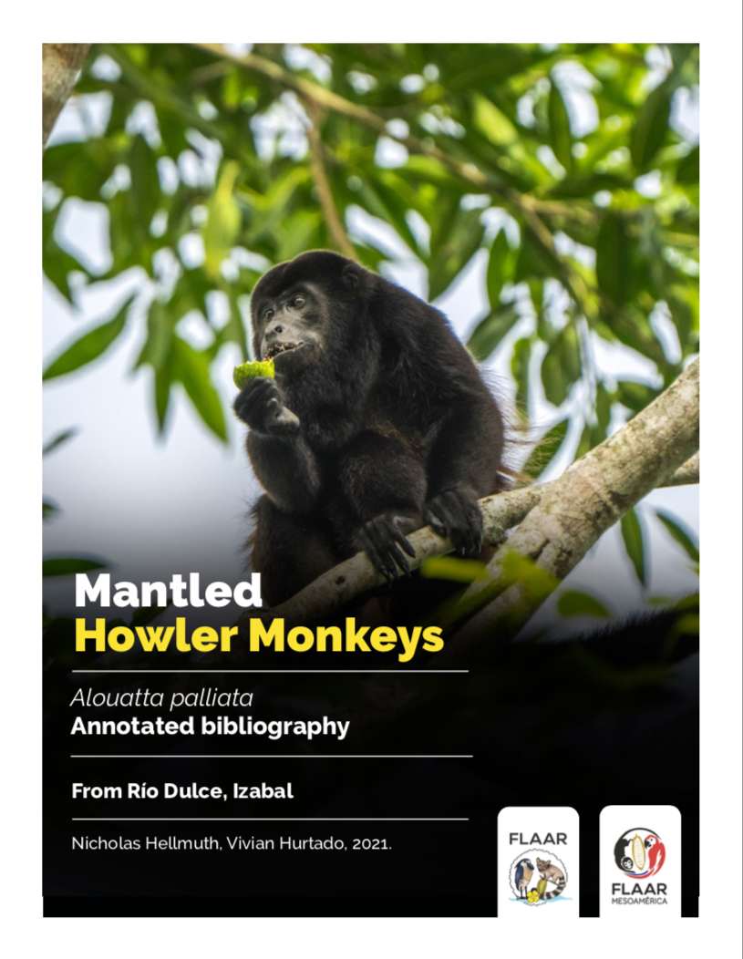 Mantled Howler Monkeys