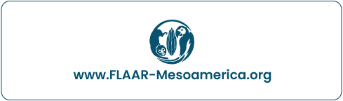 flaar-mesoamerica