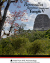 Bernoullia_flammea_mapola__temple_V_Tikal
