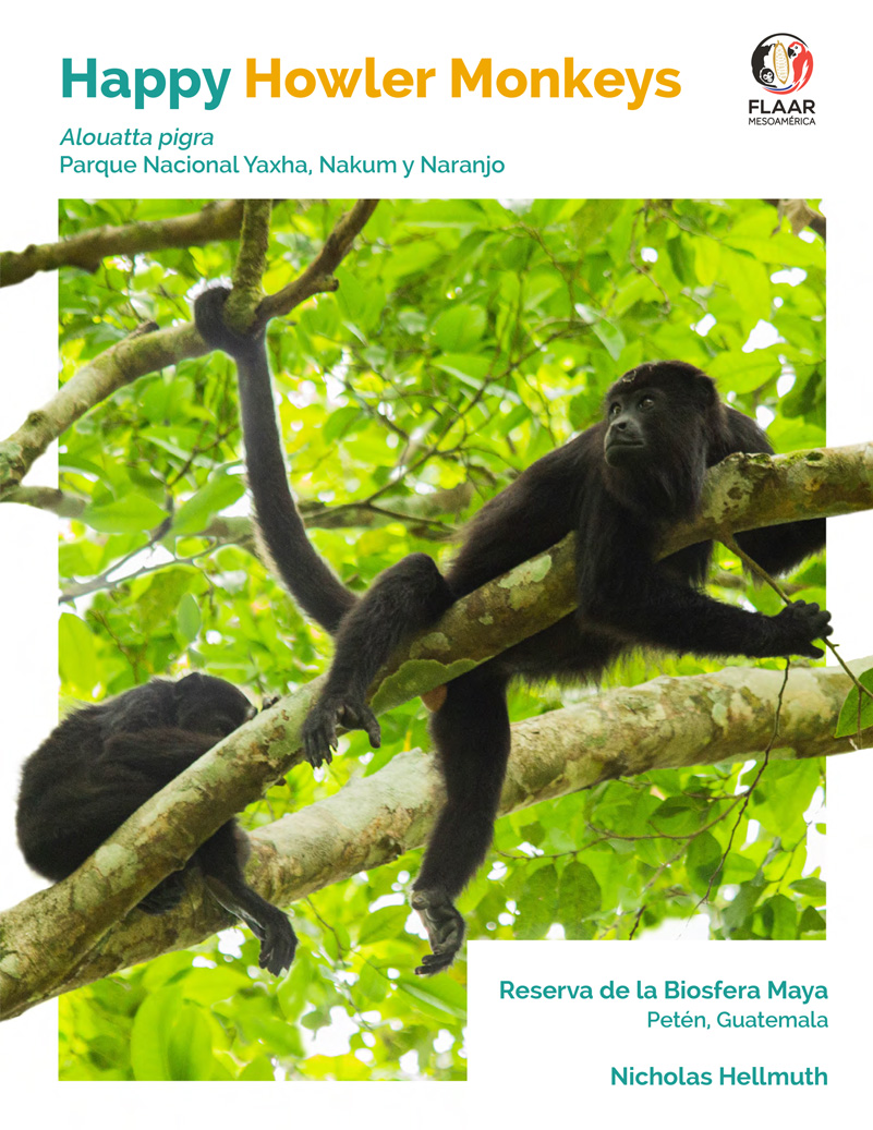 Happy Howler Monkeys