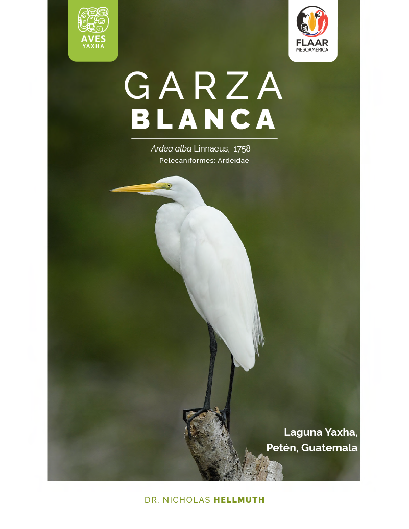 Garza Blanca